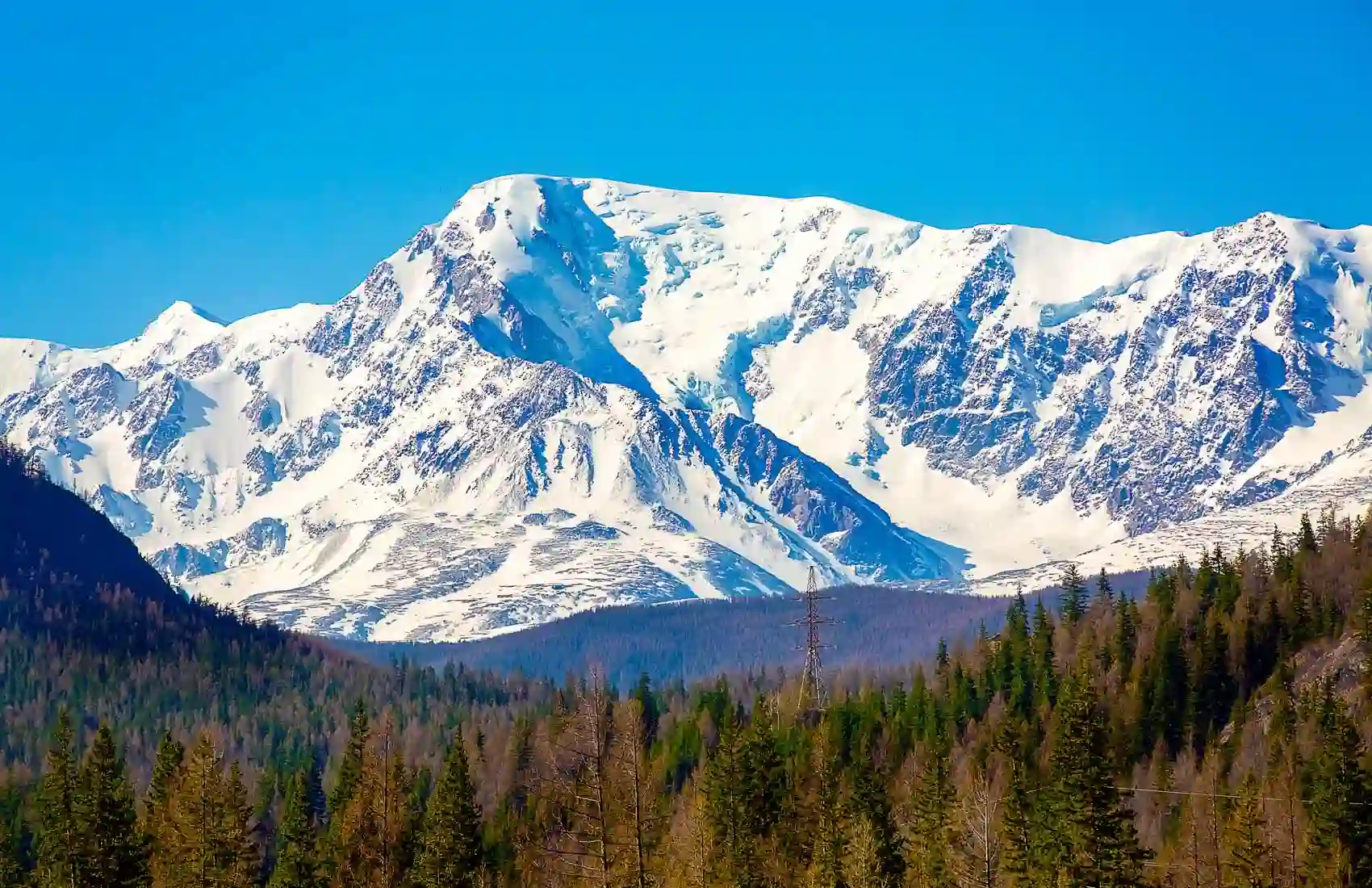 Снежные вершины Алтая